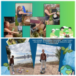 MyCollages2.jpg